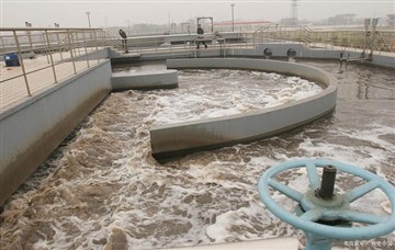 Иновативна фабрика пресоване пулпе користи најсавременију{0}}технологију за е...